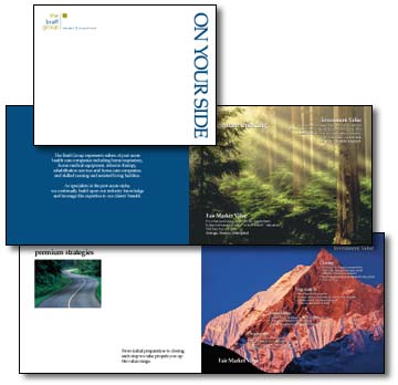 The Braff Group Brochure