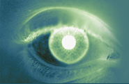 eye